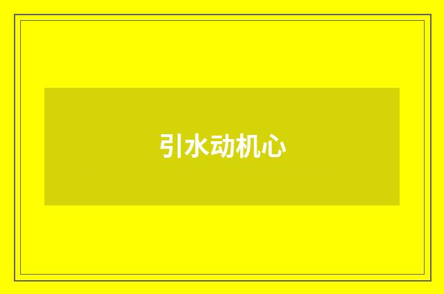 引水动机心