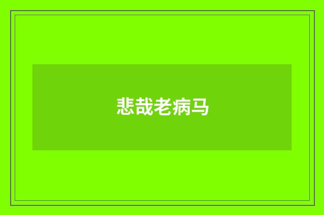 悲哉老病马