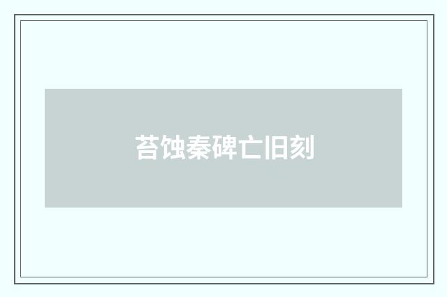 苔蚀秦碑亡旧刻
