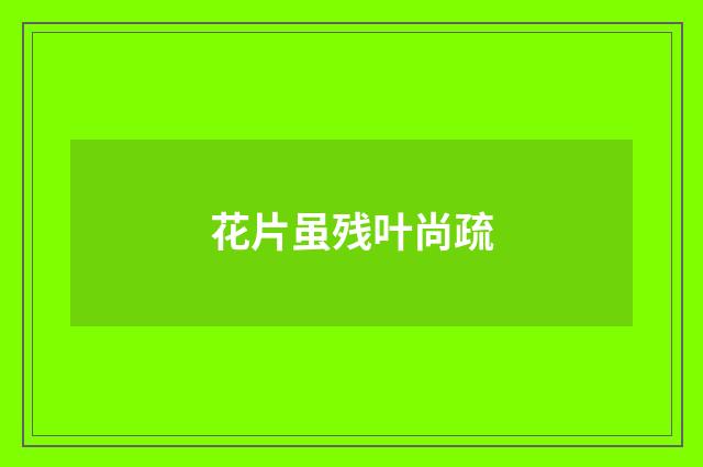 花片虽残叶尚疏
