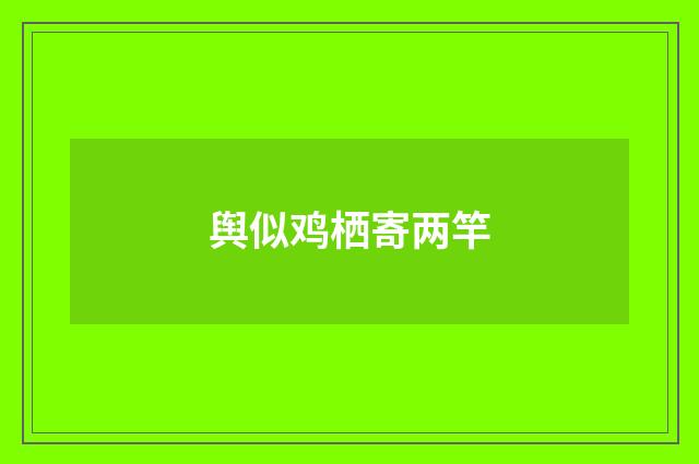 舆似鸡栖寄两竿