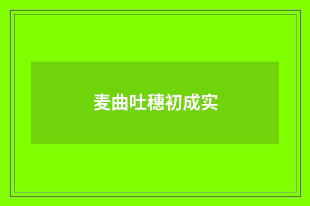 麦曲吐穗初成实