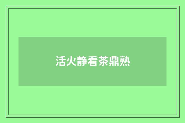 活火静看茶鼎熟