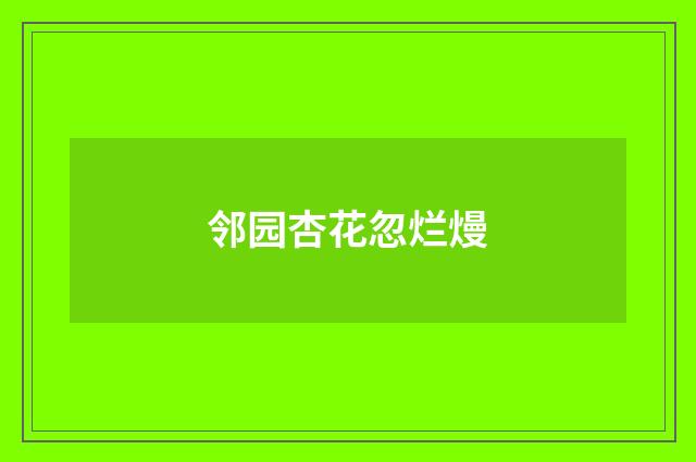 邻园杏花忽烂熳