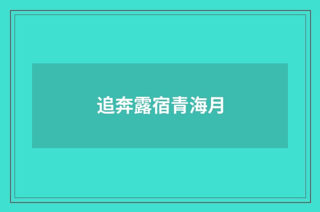 追奔露宿青海月