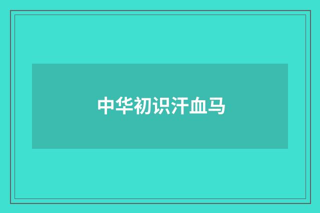 中华初识汗血马