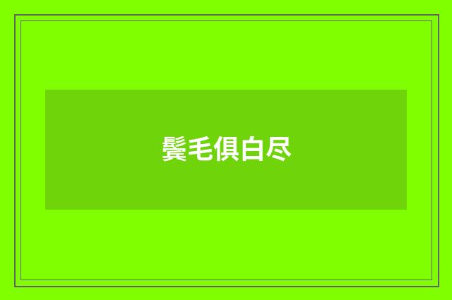 鬓毛俱白尽