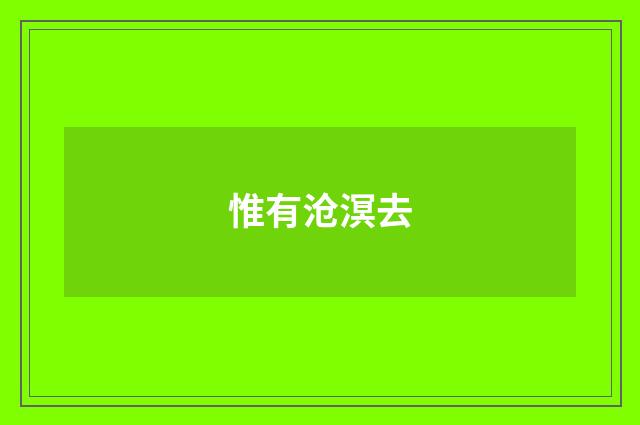惟有沧溟去
