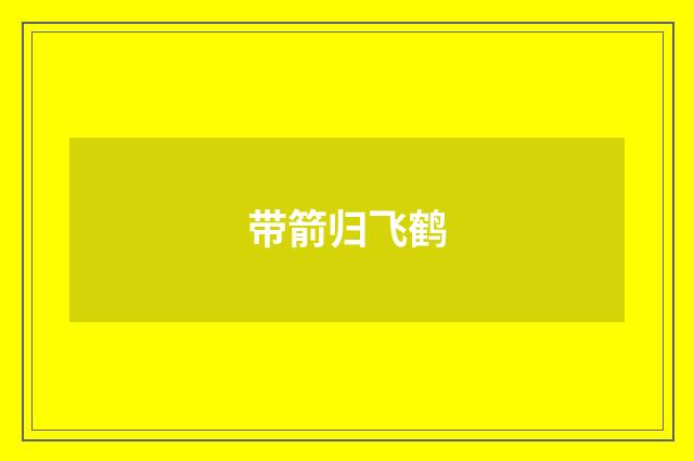 带箭归飞鹤