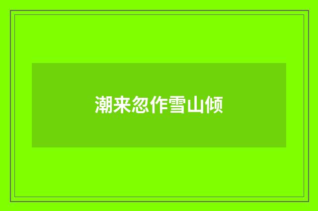 潮来忽作雪山倾