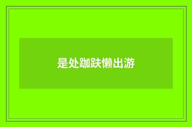 是处跏趺懒出游
