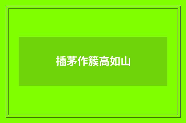 插茅作簇高如山
