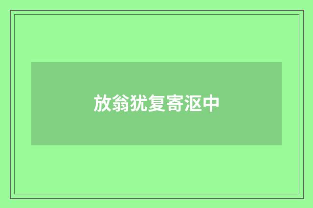 放翁犹复寄沤中