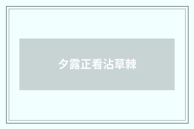 夕露正看沾草棘