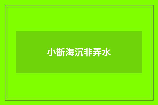 小斮海沉非弄水