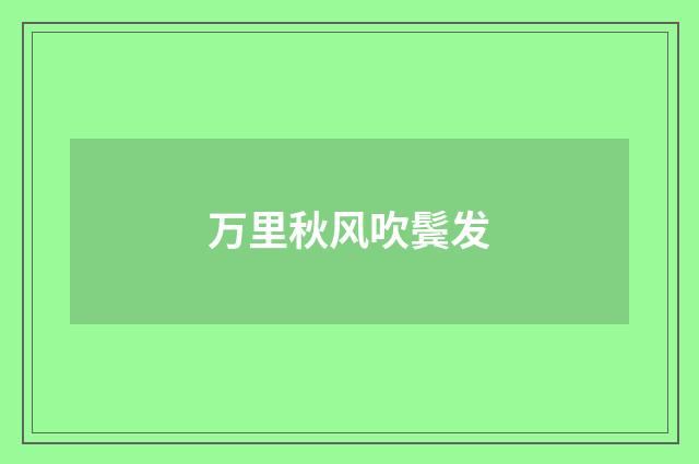 万里秋风吹鬓发