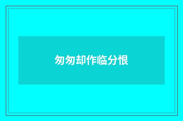 匆匆却作临分恨