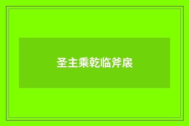 圣主乘乾临斧扆