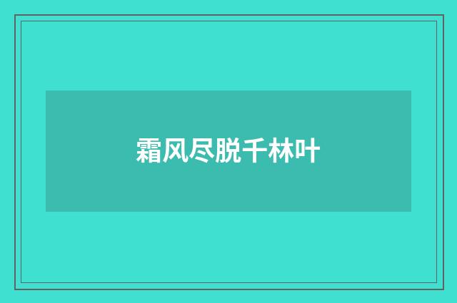霜风尽脱千林叶