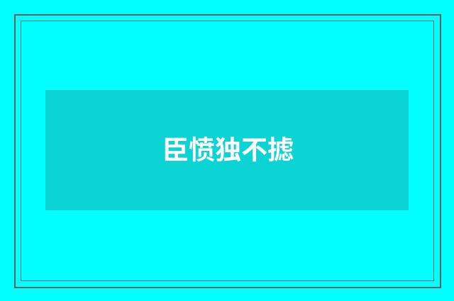 臣愤独不摅
