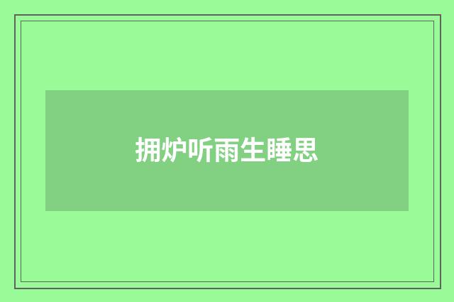 拥炉听雨生睡思