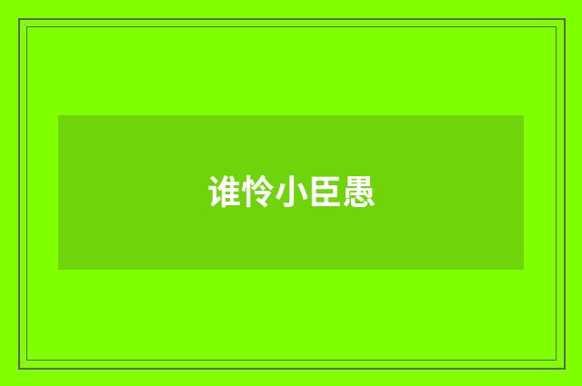 谁怜小臣愚