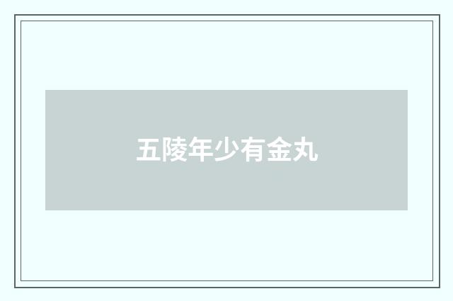 五陵年少有金丸