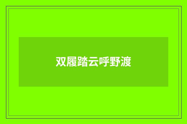 双履踏云呼野渡