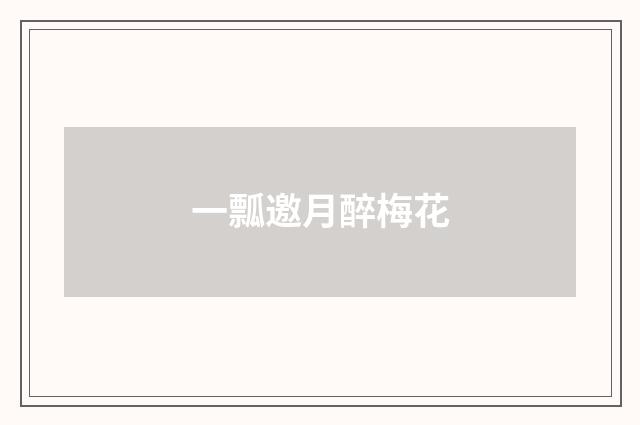 一瓢邀月醉梅花