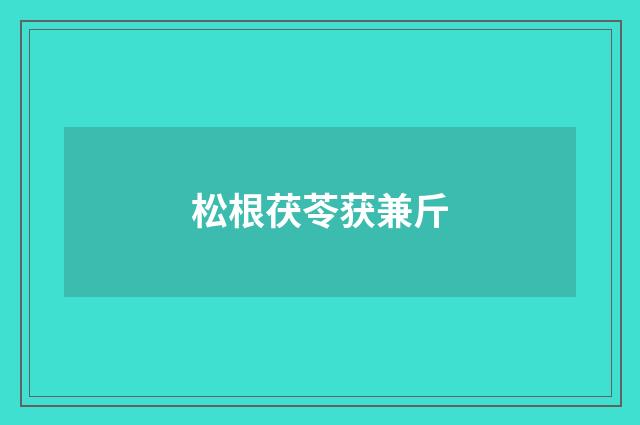 松根茯苓获兼斤