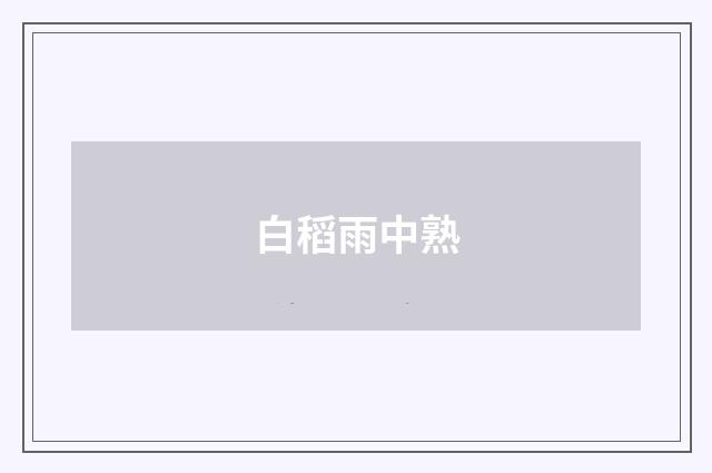 白稻雨中熟