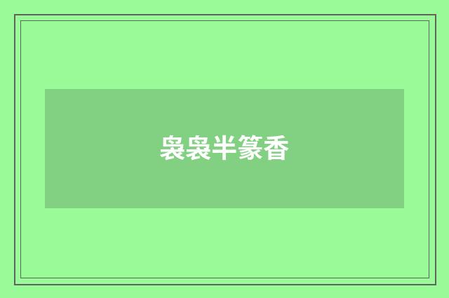 袅袅半篆香