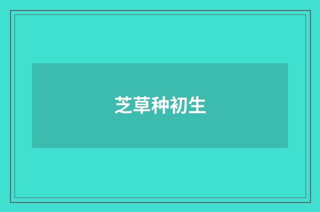 芝草种初生