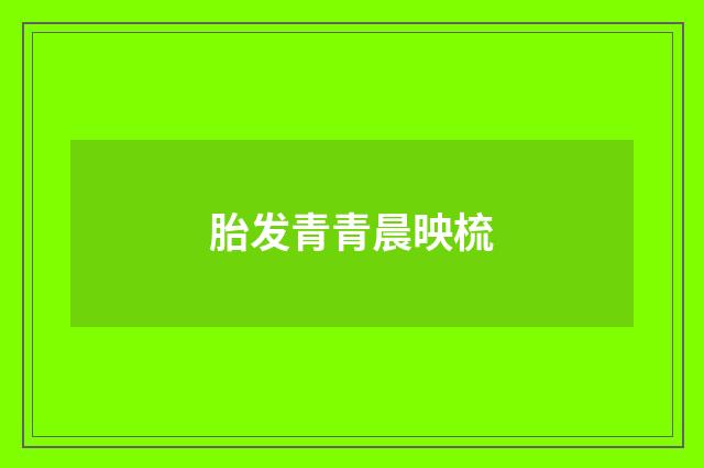 胎发青青晨映梳