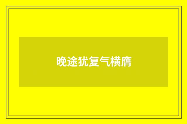 晚途犹复气横膺