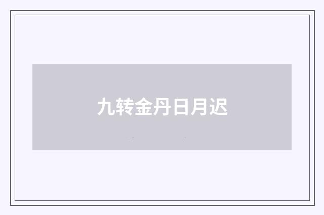 九转金丹日月迟