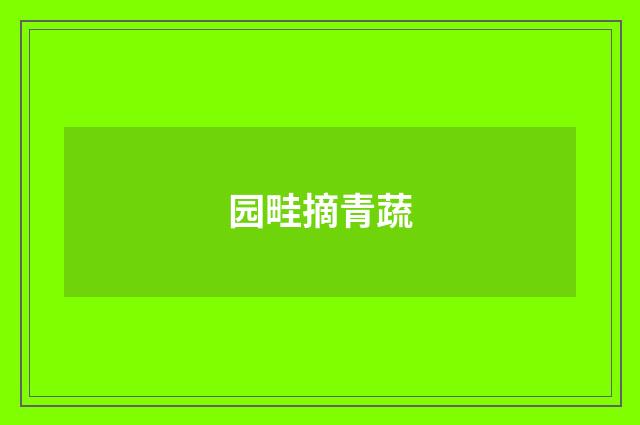 园畦摘青蔬