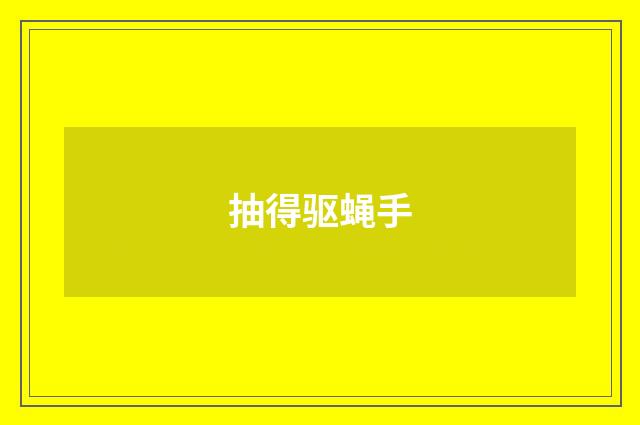 抽得驱蝇手