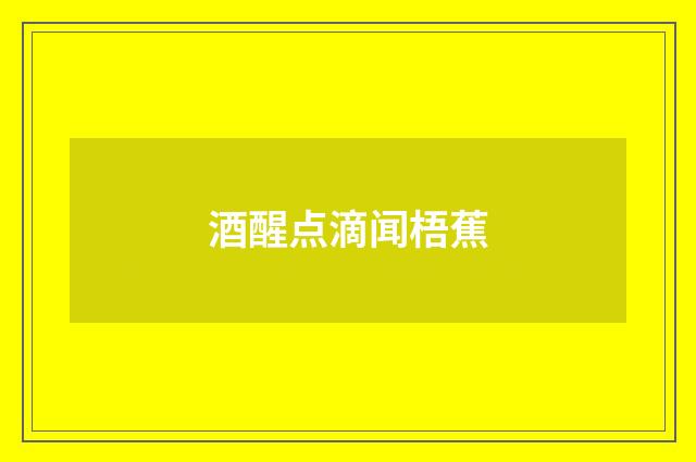 酒醒点滴闻梧蕉