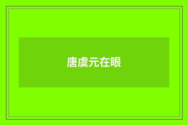 唐虞元在眼