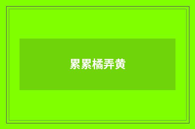 累累橘弄黄