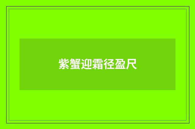 紫蟹迎霜径盈尺