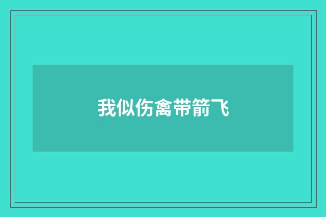 我似伤禽带箭飞
