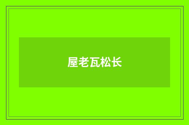屋老瓦松长