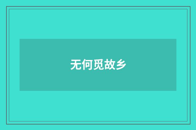 无何觅故乡