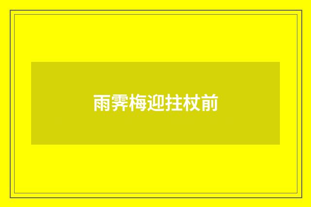 雨霁梅迎拄杖前