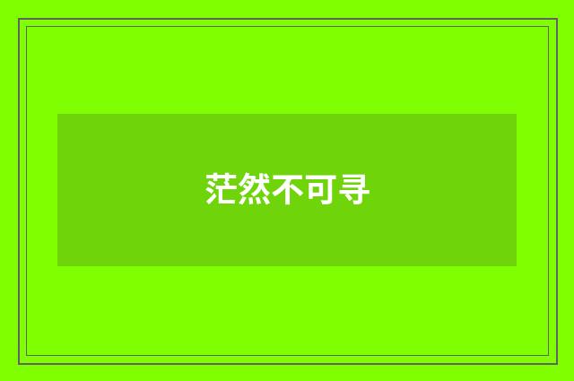 茫然不可寻