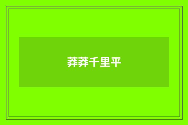 莽莽千里平