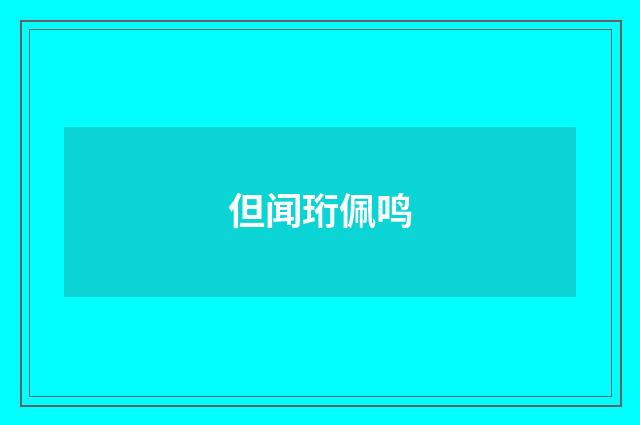 但闻珩佩鸣