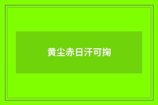 黄尘赤日汗可掬